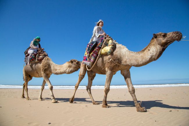 deana peggy camels tribeza