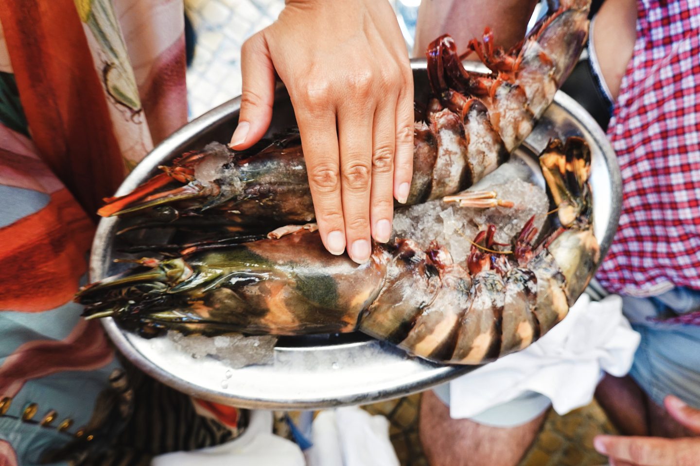 Pinóquio: Lisbon, Portugal